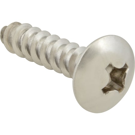 Allpoints Screw, Sm/Th/Ss (100) 6121216